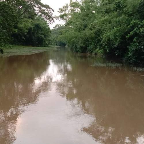Photo #6300193