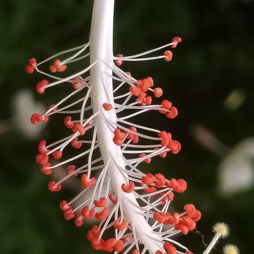 Photo #6300240