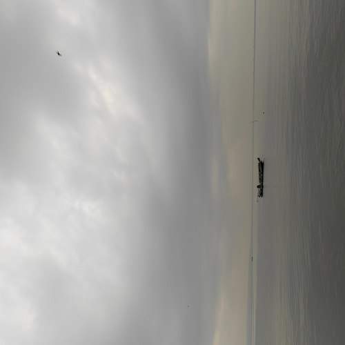 Photo #6300365