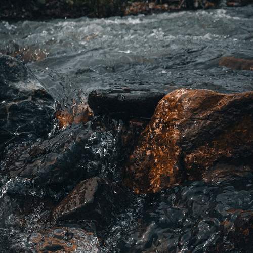 Photo #6300690