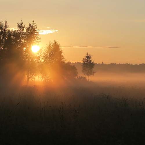 Photo #6300767