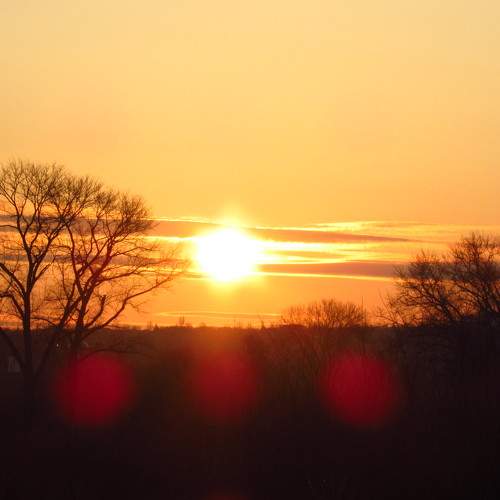 Photo #6300922