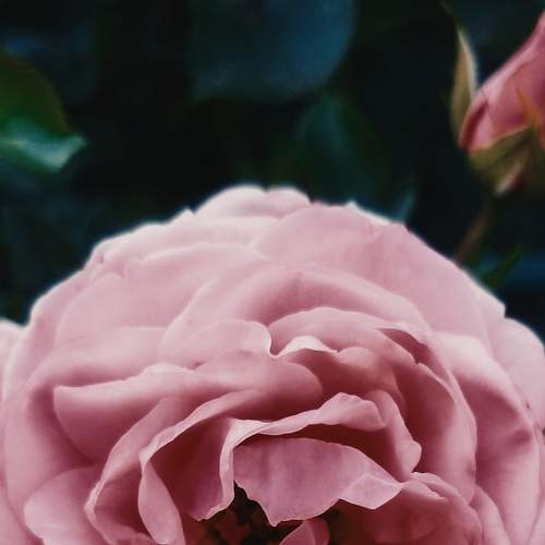 Photo #6300932