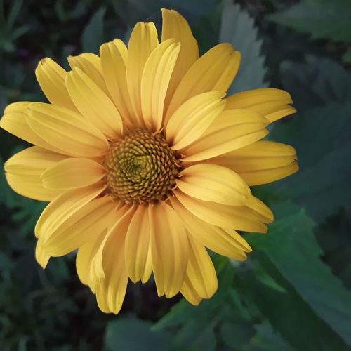 Photo #6301291