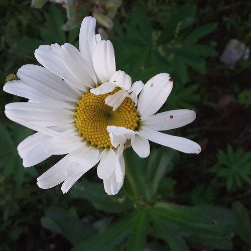 Photo #6301292