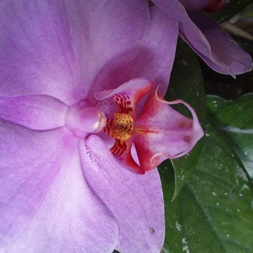 Photo #6301297