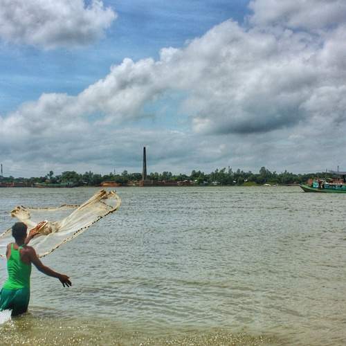 Photo #6301437