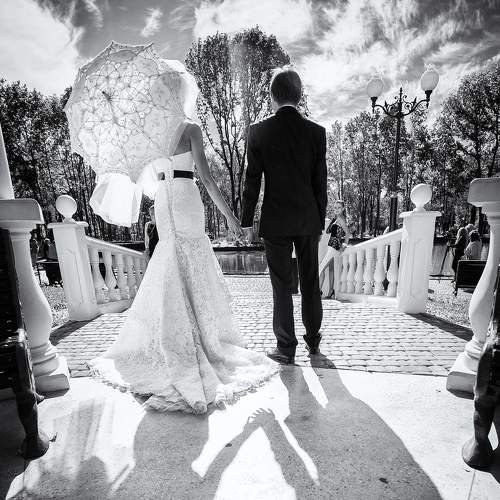 Photo #6301590
