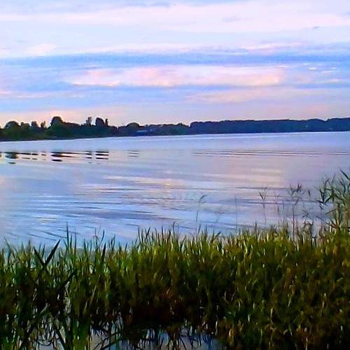 Photo #6302342