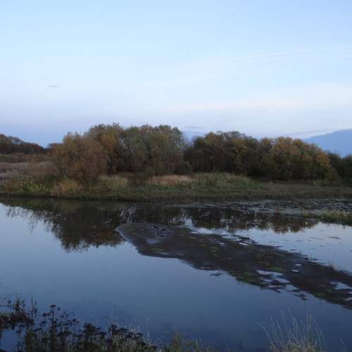 Photo #6302857