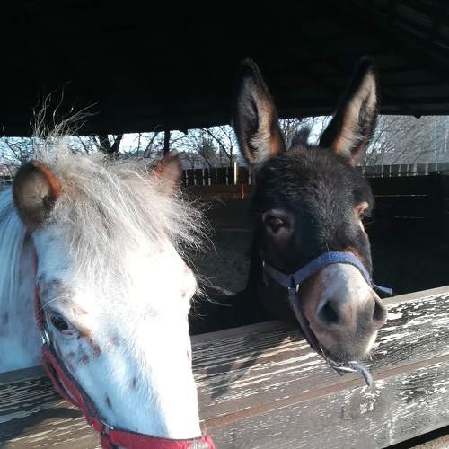 Photo #6302975