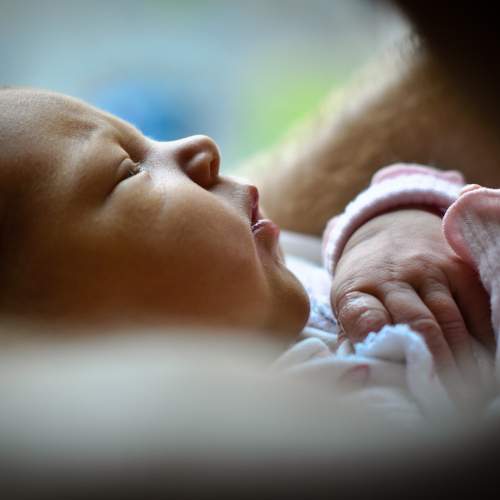 Photo #6303564