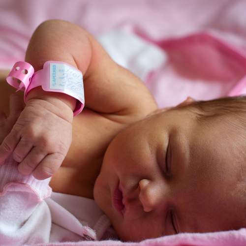 Photo #6303582
