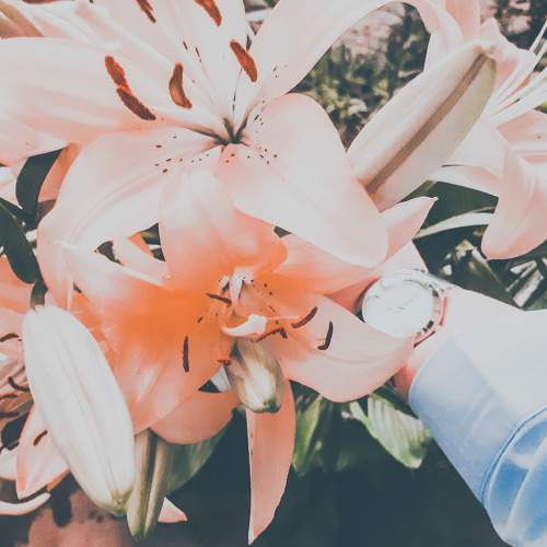 Photo #6303749