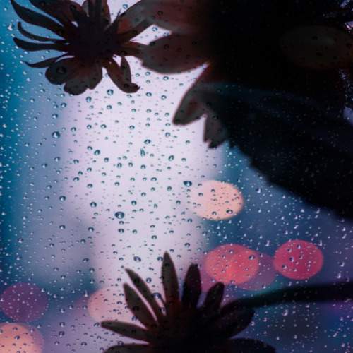 Photo #6303790
