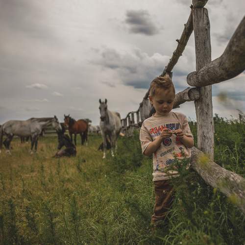 Photo #6304155