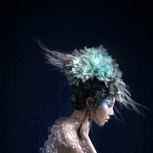 Photo #6304252
