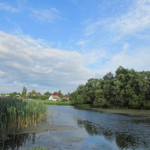 Photo #6304309
