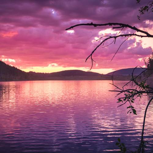 Photo #6304446