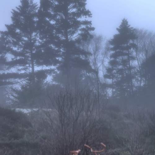 Photo #6304659
