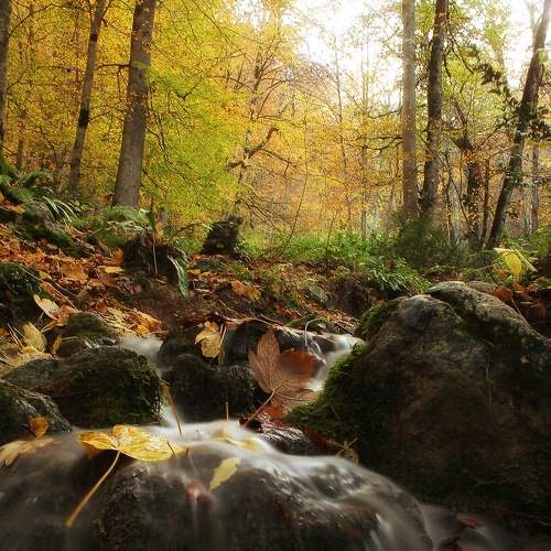 Photo #6305424