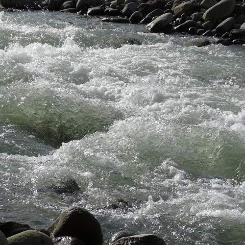 Photo #6305954