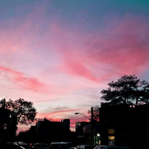 Photo #6306467