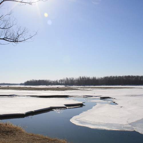Photo #6307161