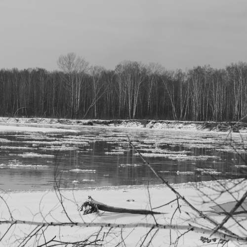 Photo #6307162