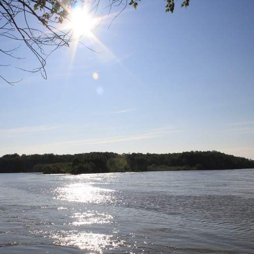Photo #6307165