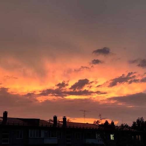 Photo #6307454