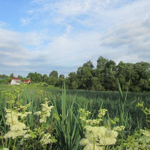 Photo #6307565