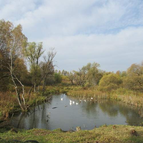 Photo #6307579