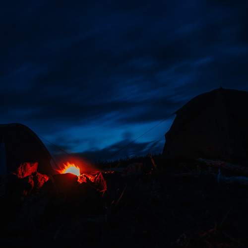 Photo #6307648