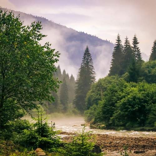 Tereblya river
