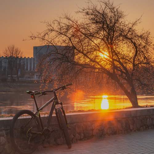 Photo #6307892