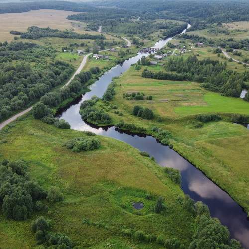 Photo #6307905