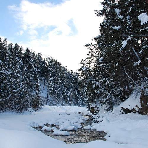 Photo #6307921
