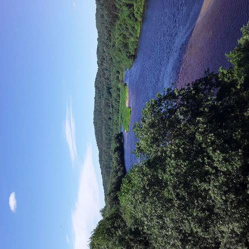 Photo #6307940