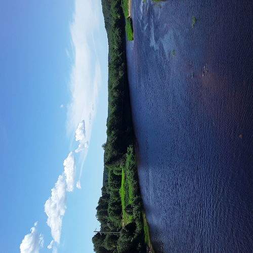 Photo #6307947