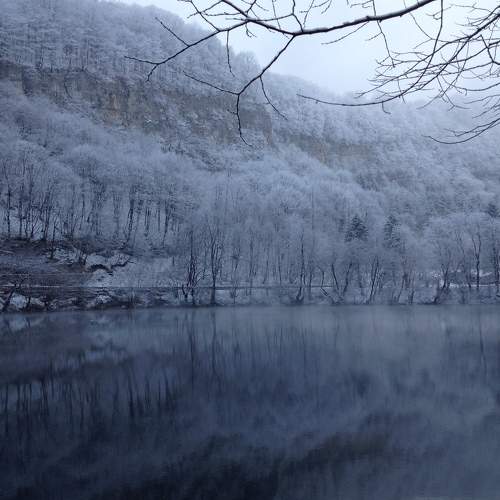 Photo #6307962