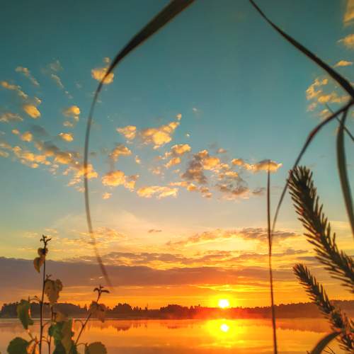 Photo #6307973