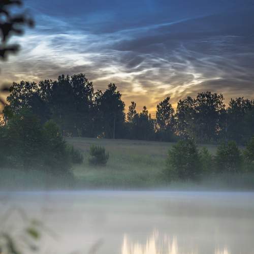 Photo #6307974