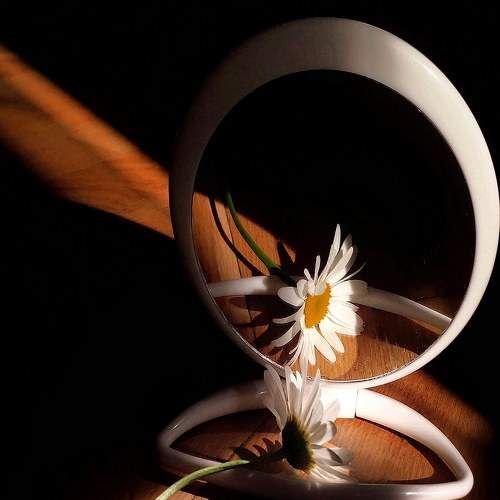 Photo #6308008