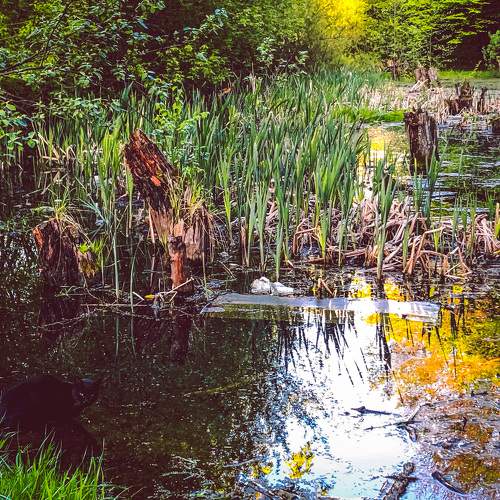 Photo #6308475
