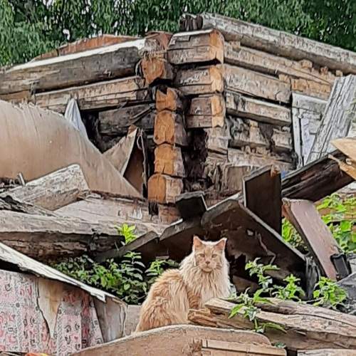 Photo #6308906