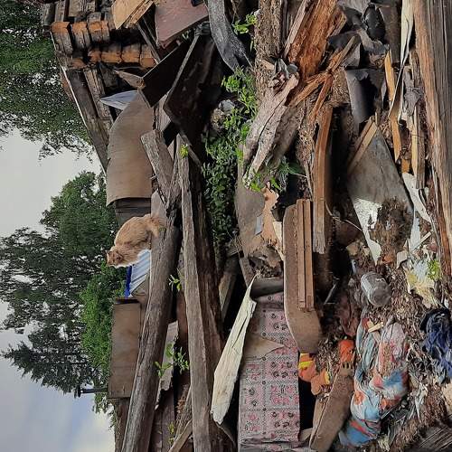 Photo #6308909