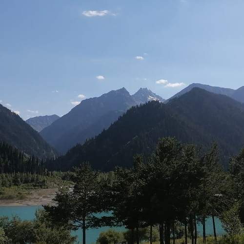 Photo #6309105