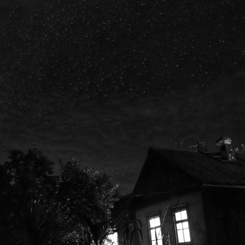 Photo #6309145