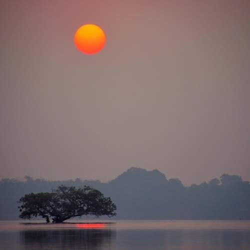Photo #6309272